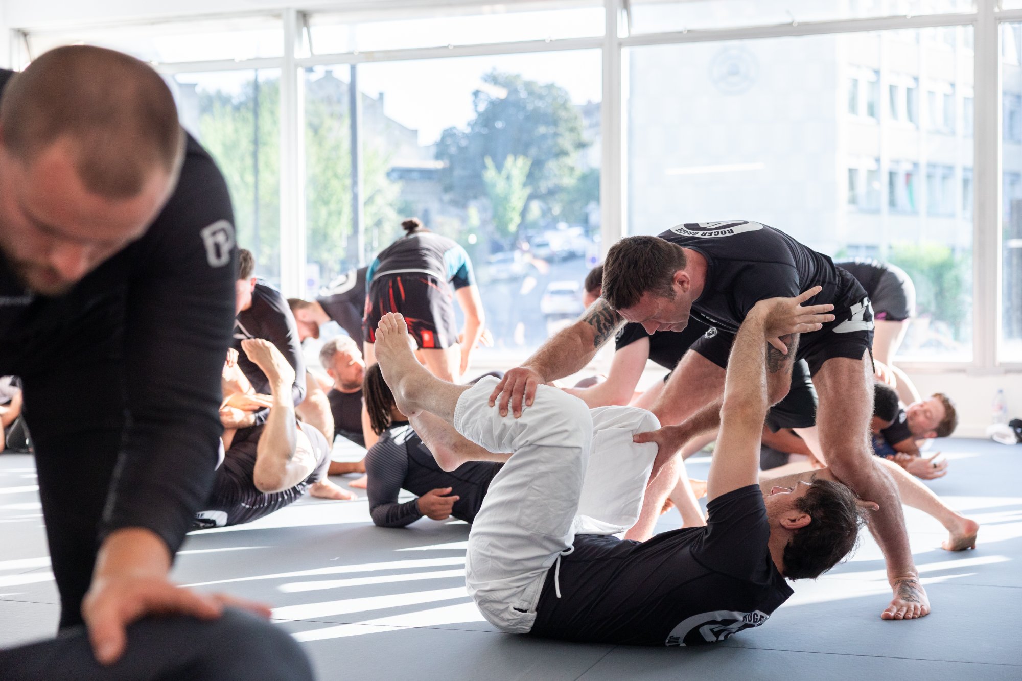 Roger Gracie Bristol — the original case study